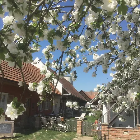 Casa de hóspedes Herzlhof Rupp Straß in Steiermark